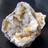 Celestina
14cm
(Autor: canada)