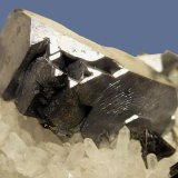 Galena, Cuarzo y Esfalerita
5 x 5 cm. la pieza,1,5 x 1,5 cm. el cristal
(Autor: javier ruiz martin)