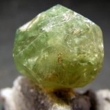 Grossularia (variedad tsavorita)
15 x 13 mm.
(Autor: José Luis Zamora)