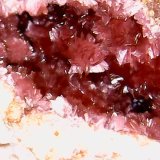 Eritrina
1 cm
(Autor: Obsi)