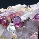 (Autor: El Coleccionista)