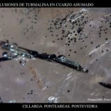 (Autor: Juan de Laureano)