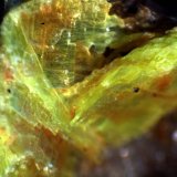 Uranocircita
< 1 mm
(Autor: José Luis Zamora)