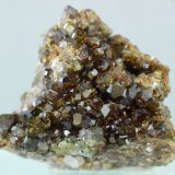 Uvita
25x23 mm
(Autor: Juan Espino)