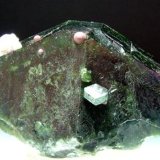Uvita
4,5 x 3 x 2,5 cm
(Autor: Antonio Alcaide)