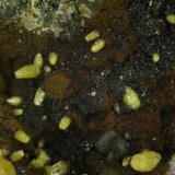 Vanadinita
Cristales de 1 mm aprox.
(Autor: Inma)