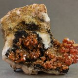 Vanadinita
56X45X23 mm
(Autor: Juan Espino)