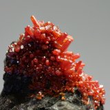 Vanadinita
enfoque 20x20 mm
(Autor: Ramon A  Lopez Garcia)