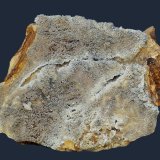Cotunnita
55x42x7 mm
(Autor: Antonio Carmona)