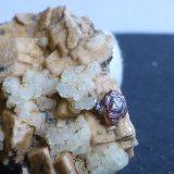 Almandino, Cuarzo y Microclina
Cristal de 2mm aprox.
(Autor: heat00)