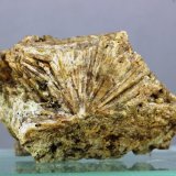 Vesubiana
30x20 mm
(Autor: Juan Espino)