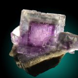 Fluorita
cristal de 5cm de arista
(Autor: Raul Vancouver)