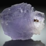 Fluorita, Esfalerita
12x8cm, arista 8cm
(Autor: Raul Vancouver)