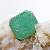 Torbernita
Campo de visión de 10 mm
(Autor: Antonio Carmona)