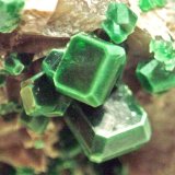 Torbernita
Cristales de 4 mm
(Autor: usoz)
