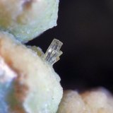 Wavellita sobre Variscita
Cristal sobre 1mm
(Autor: Javier MC)