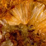Wavellita
FOV 1.2 cm
(Autor: Cesar M. Salvan)