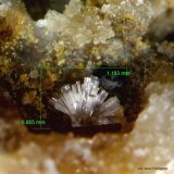 Willemita.
1´193 x 0´855 mm.
(Autor: Jesus Franquesa Baucells)