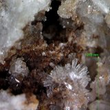 Willemita
1´272 x 1´163 mm.
(Autor: Jesus Franquesa Baucells)