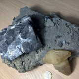Galena
25 cm
(Autor: Cesar M. Salvan)