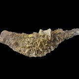 Wulfenita
8,5x3,5x3 cm.
(Autor: Nacho)
