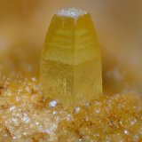 Wulfenita
1.5 mm
(Autor: Antonio Abril)