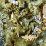 Wulfenita, Cerusita, Hedifana
FOV 23mm
(Autor: Sergio)