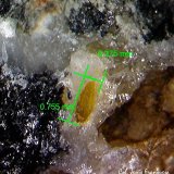 Wulfenita
0´75 x 0´27 mm.
(Autor: Jesus Franquesa Baucells)