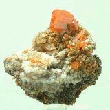 Wulfenita
3,5 x 3,5 x 1,1 cm
(Autor: Antonio Alcaide)