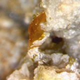 Wulfenita.
1´126 x 0´466 mm.
(Autor: Jesus Franquesa Baucells)