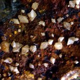 Wulfenita.
5´106 x 4´774 mm.
(Autor: Jesus Franquesa Baucells)