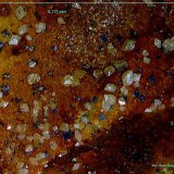 Wulfenita.
6´117 x 5´615 mm.
(Autor: Jesus Franquesa Baucells)
