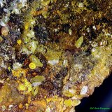 Wulfenita.
3´07x2´24 mm.
(Autor: Jesus Franquesa Baucells)