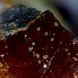 Wulfenita
1´445 x 0´834 mm.
(Autor: Jesus Franquesa Baucells)