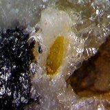 Wulfenita
0´75 x 0´27 mm.
(Autor: Jesus Franquesa Baucells)