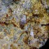 Wulfenita.
0´588x0´260 mm.
(Autor: Jesus Franquesa Baucells)