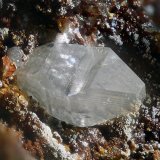 Wulfenita
Campo de visión 2,8 mm.
(Autor: Juan Miguel)