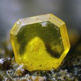 Wulfenita
Campo de visión 2 mm.
(Autor: Juan Miguel)