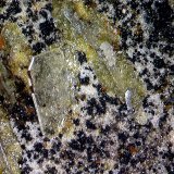 Wulfenita.
1´475 x 0´0568 mm.
(Autor: Jesus Franquesa Baucells)