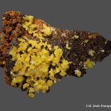 Wulfenita.
30x28 mm.
(Autor: Jesus Franquesa Baucells)