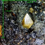 Wulfenita y Piromorfita.
3´635 x 3´530 mm.
(Autor: Jesus Franquesa Baucells)