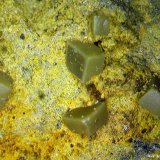 Wulfenita.
4´53x2´63 mm.
(Autor: Jesus Franquesa Baucells)