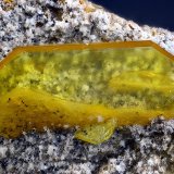 Wulfenita
Campo de visión 5,3 mm.
(Autor: Juan Miguel)