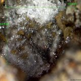 Wulfenita.
3´501 x 2´876 mm.
(Autor: Jesus Franquesa Baucells)