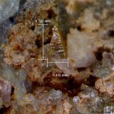 Wulfenita.
0´722 x 0´415 mm.
(Autor: Jesus Franquesa Baucells)
