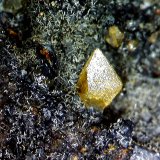 Wulfenita y Piromorfita.
3´635 x 3´530 mm.
(Autor: Jesus Franquesa Baucells)