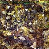 Wulfenita.
3´44 x 2´30 mm
(Autor: Jesus Franquesa Baucells)