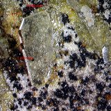 Wulfenita.
1´475 x 0´0568 mm.
(Autor: Jesus Franquesa Baucells)