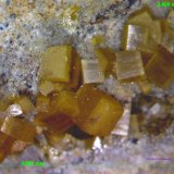 Wulfenita.
3´587 x 2´508 mm.
(Autor: Jesus Franquesa Baucells)