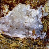 Wulfenita.
0´347 x 0´244 mm.
(Autor: Jesus Franquesa Baucells)
